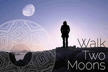 Walk Two Moons banner