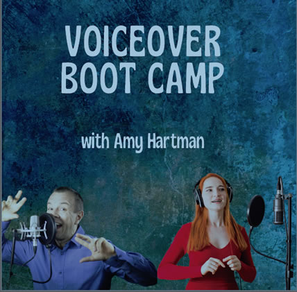 Voice Over Camp banner
