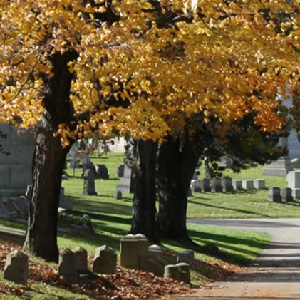 Cemetery Walk
